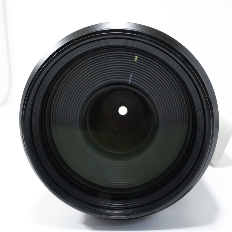 RF100-500mm F4.5-7.1 L IS USM