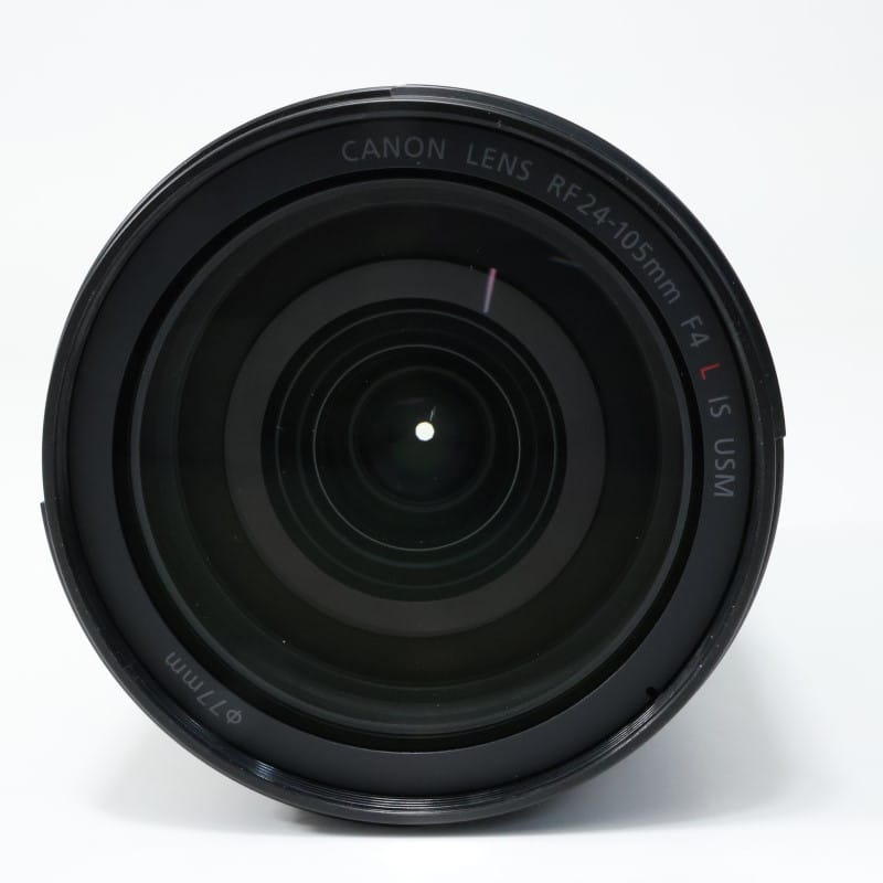 RF24-105mm F4 L IS USM