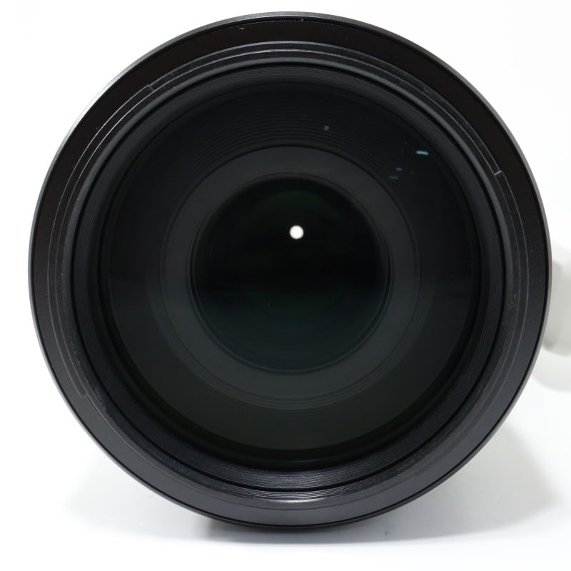 FE 100-400mm F4.5-5.6 GM OSS SEL100400GM