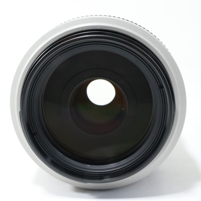 EF 70-300mm F4-5.6 L IS USM