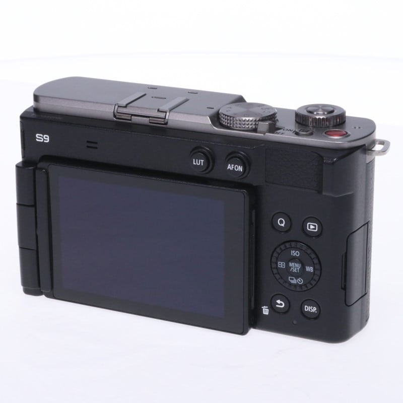 LUMIX S9 ボディ シルバー DC-S9-S