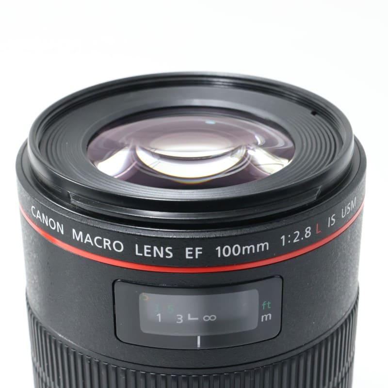 EF100mm F2.8Lマクロ IS USM
