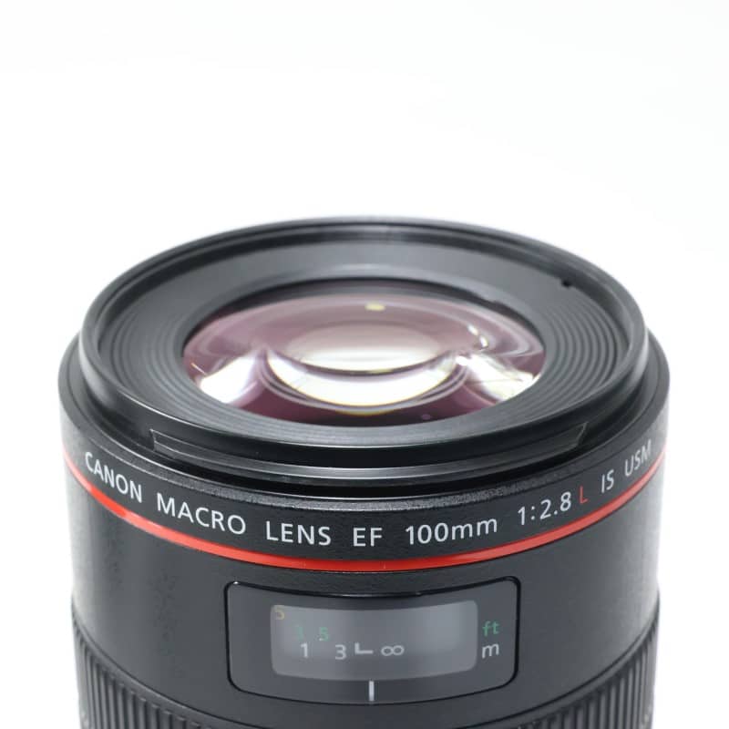 EF100mm F2.8Lマクロ IS USM