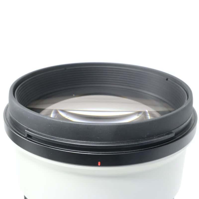 FE 300mm F2.8 GM OSS SEL300F28GM