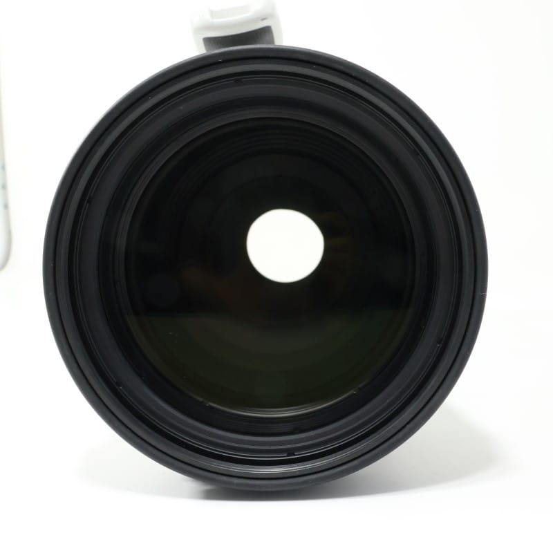RF100-300mm F2.8 L IS USM