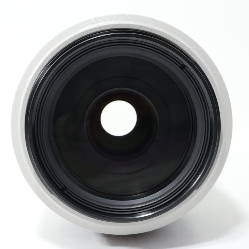 EF 70-300mm F4-5.6 L IS USM
