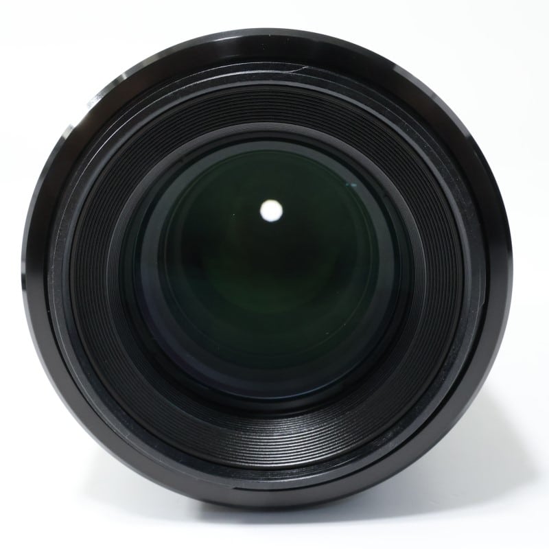 FE 90mm F2.8 Macro G OSS SEL90M28G