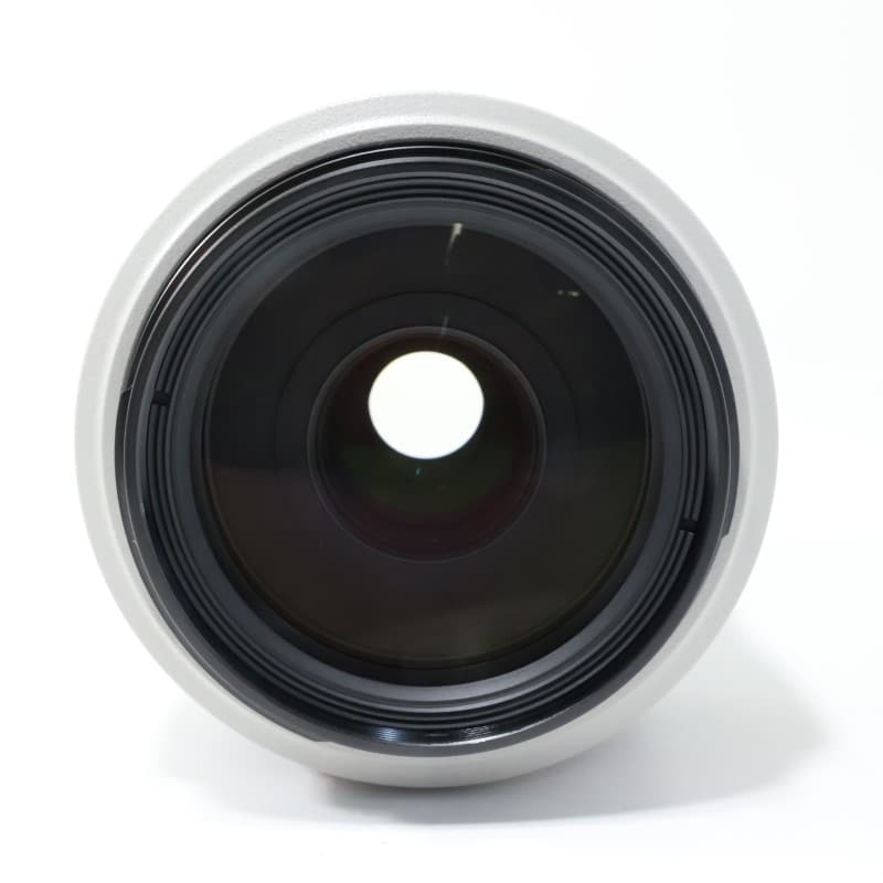 EF 70-300mm F4-5.6 L IS USM