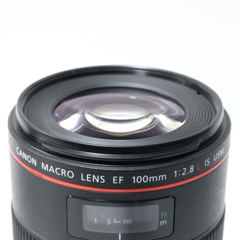 EF100mm F2.8Lマクロ IS USM