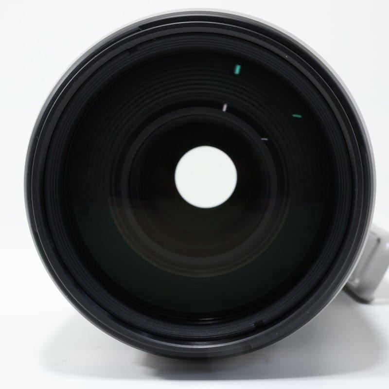 EF100-400mm F4.5-5.6L IS II USM