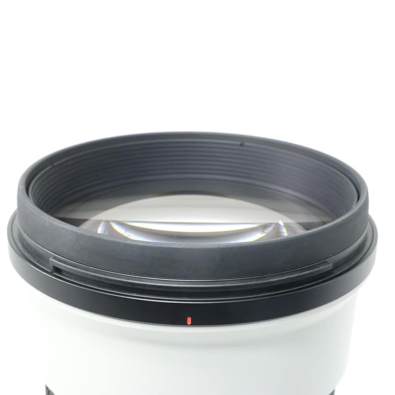 FE 300mm F2.8 GM OSS SEL300F28GM