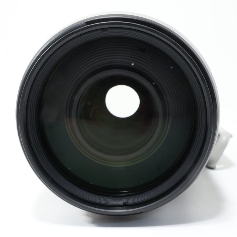 EF100-400mm F4.5-5.6L IS II USM