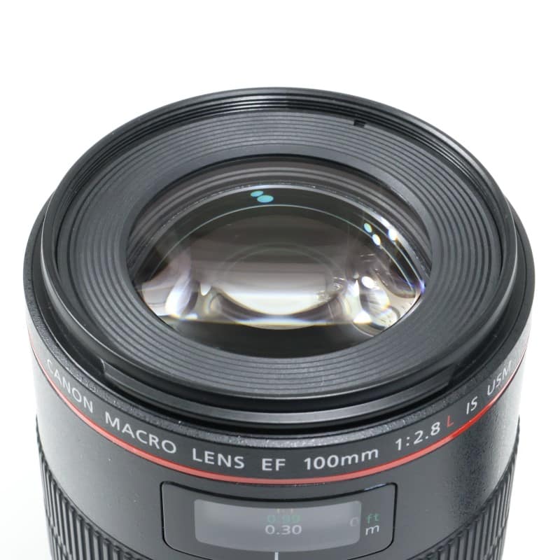 EF100mm F2.8Lマクロ IS USM