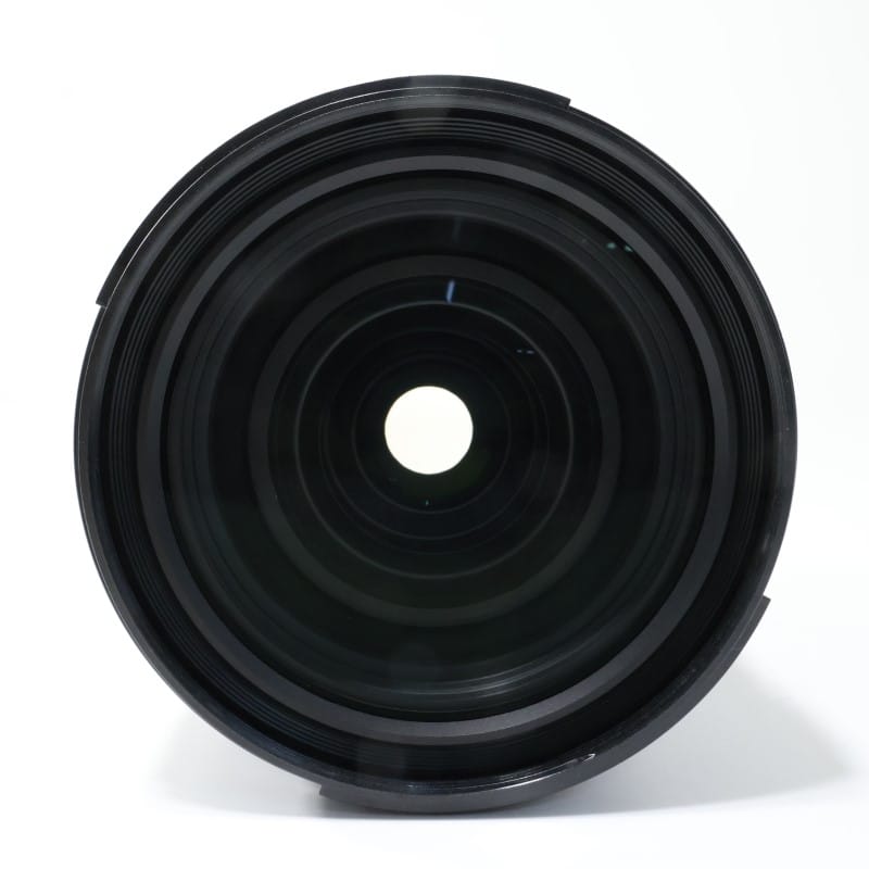 FE 28-70mm F2 GM SEL2870GM