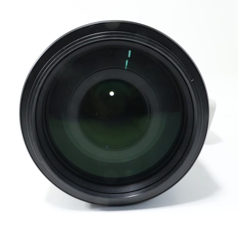 FE 100-400mm F4.5-5.6 GM OSS SEL100400GM