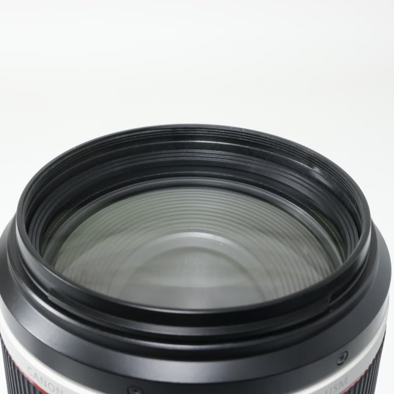 RF100-500mm F4.5-7.1 L IS USM