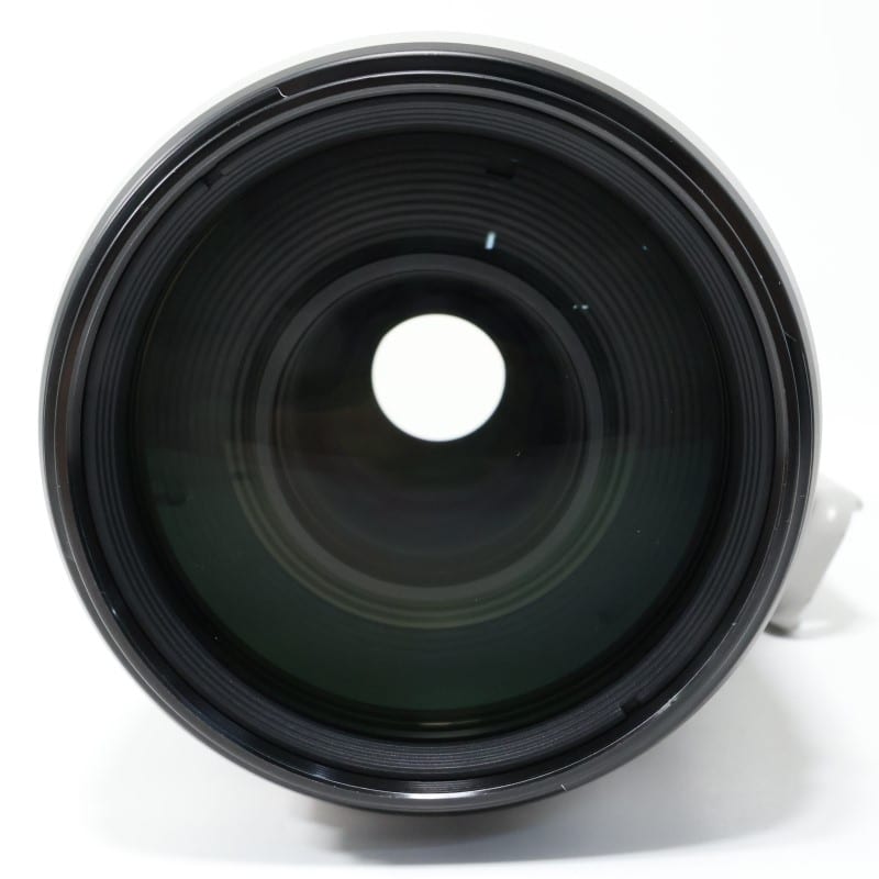 EF100-400mm F4.5-5.6L IS II USM