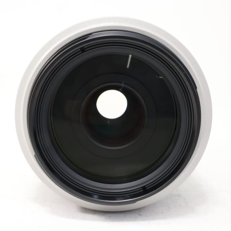 EF 70-300mm F4-5.6 L IS USM