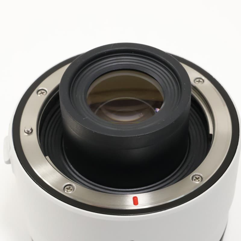 EXTENDER RF 2x