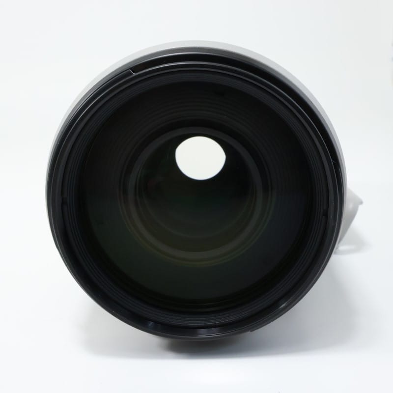 EF100-400mm F4.5-5.6L IS II USM