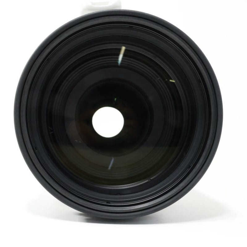 RF100-300mm F2.8 L IS USM
