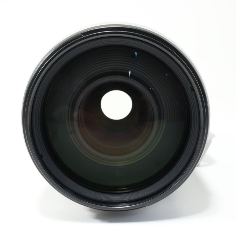 EF100-400mm F4.5-5.6L IS II USM