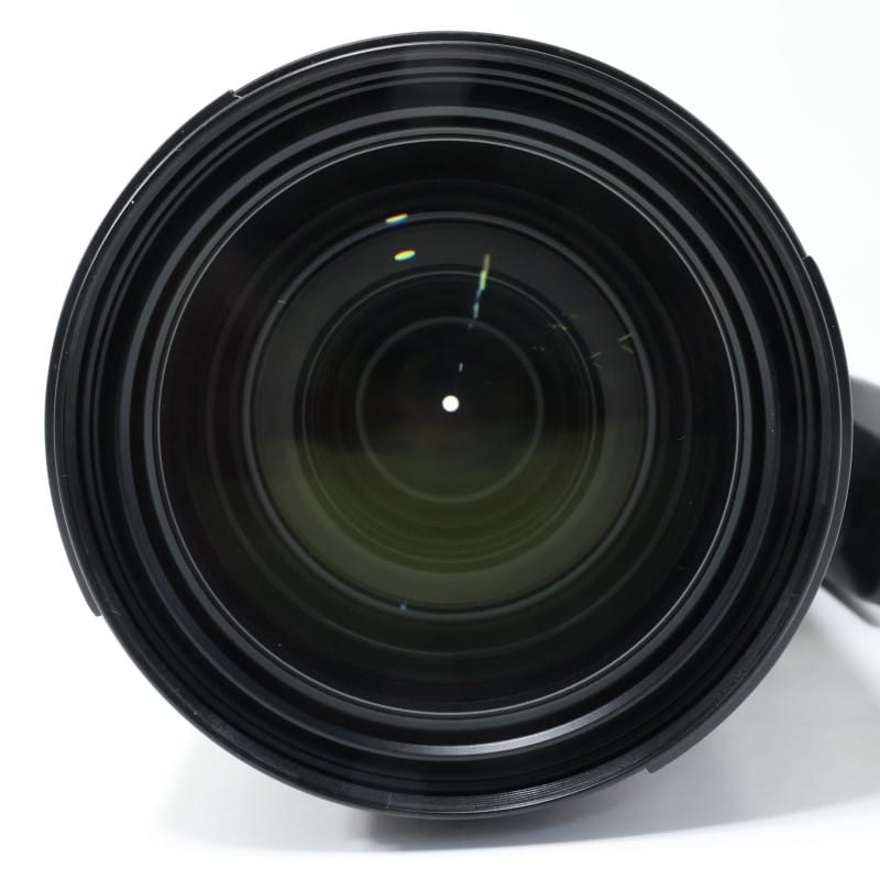 RF24-105mm F2.8 L IS USM Z