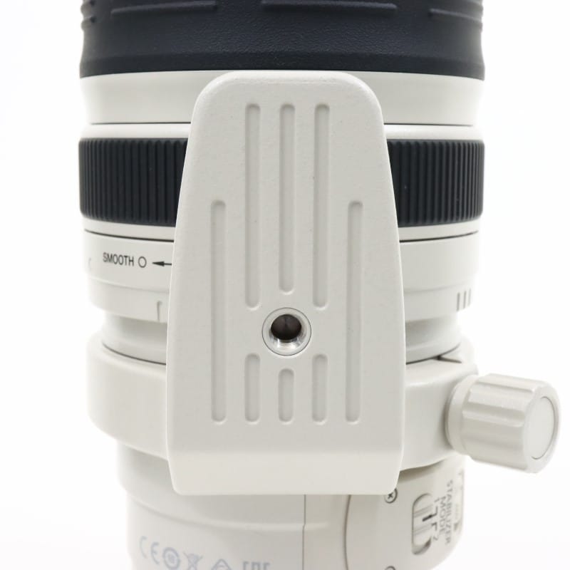 EF 28-300mm F3.5-5.6 L IS USM