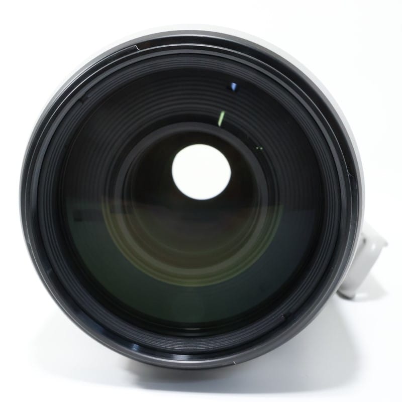 EF100-400mm F4.5-5.6L IS II USM