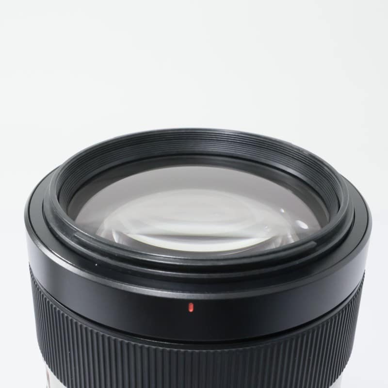 FE 100-400mm F4.5-5.6 GM OSS SEL100400GM
