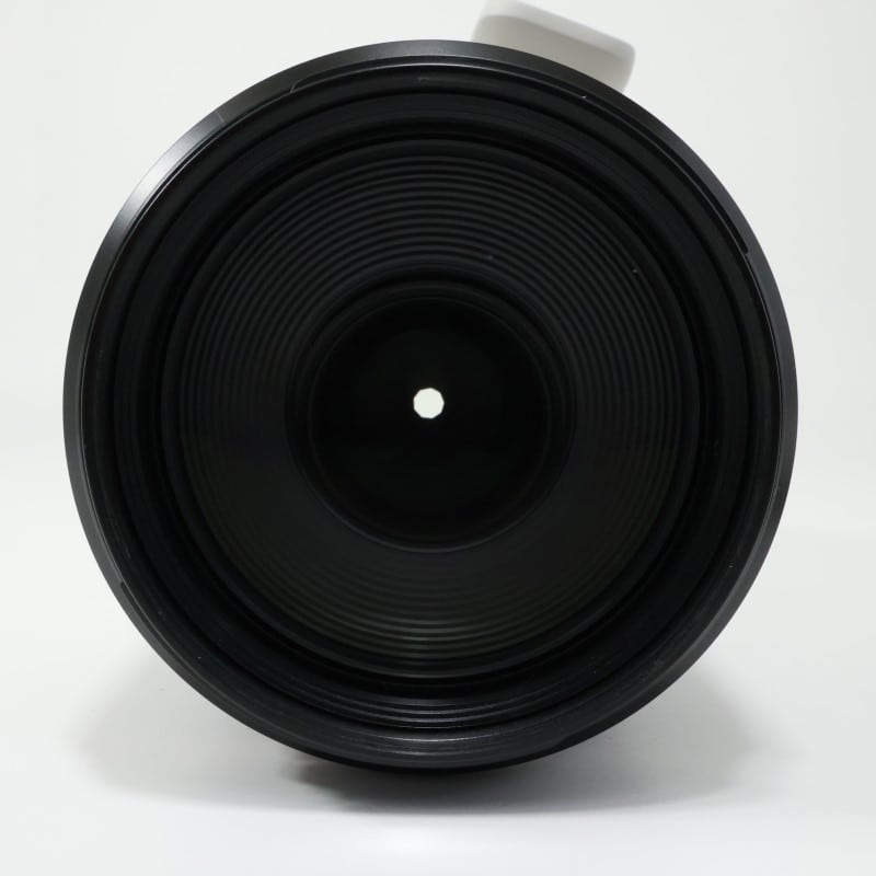 RF100-500mm F4.5-7.1 L IS USM