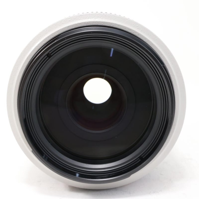 EF 70-300mm F4-5.6 L IS USM