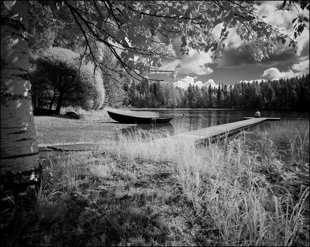 Infrared 135-36 RI4011