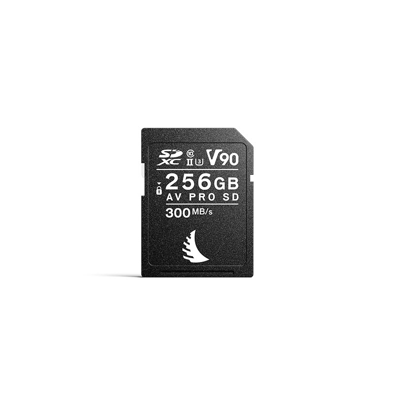 AV PRO SD MK2 256GB V90 AVP256SDMK2V90