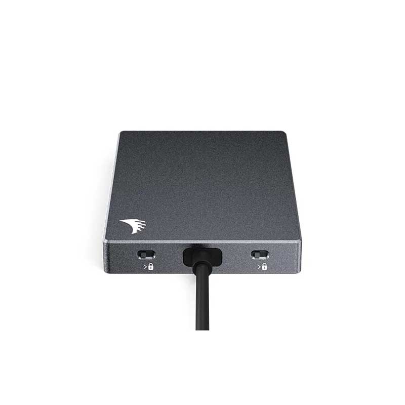 SD Dual Card Reader SDD31PK