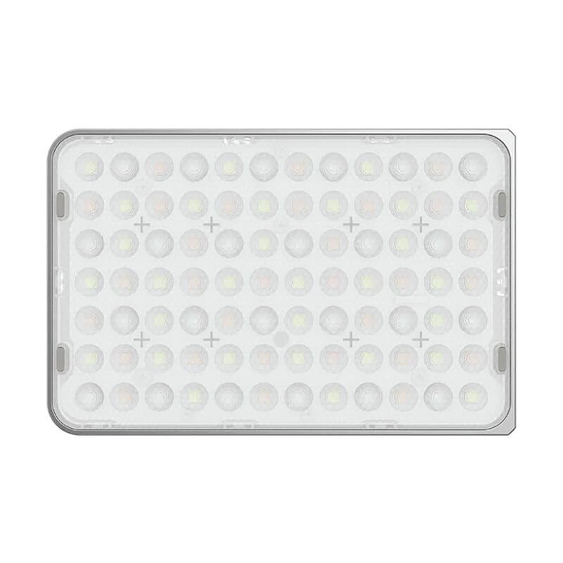 amaran Ace 25x バイカラー Silver