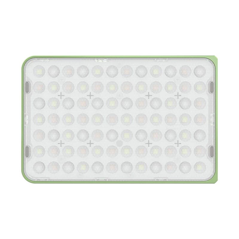 amaran Ace 25c フルカラー Green