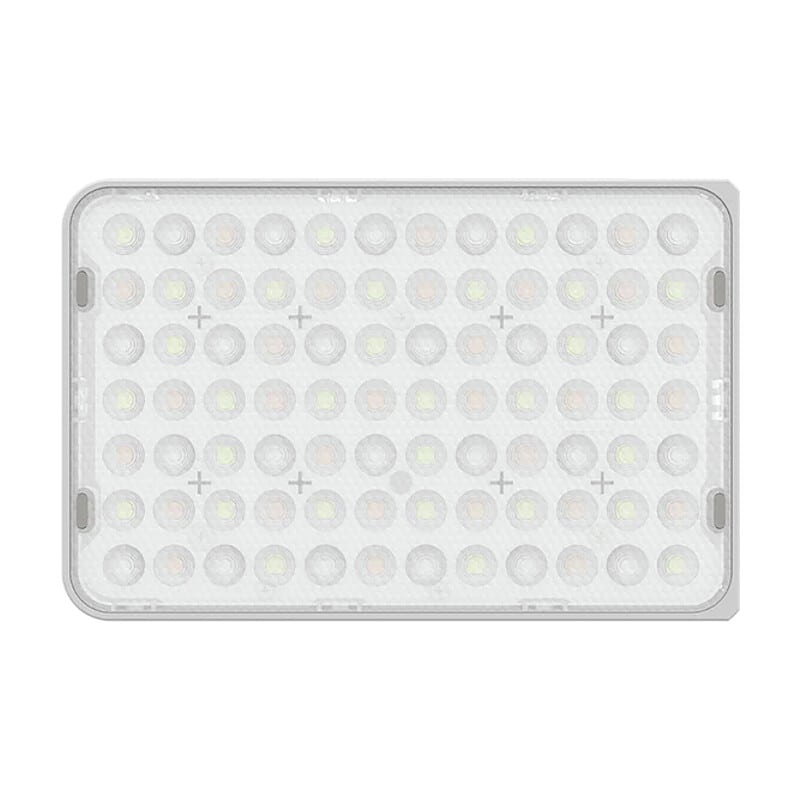 amaran Ace 25c フルカラー White