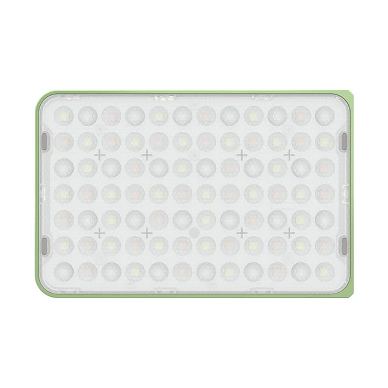 amaran Ace 25x バイカラーキット Green