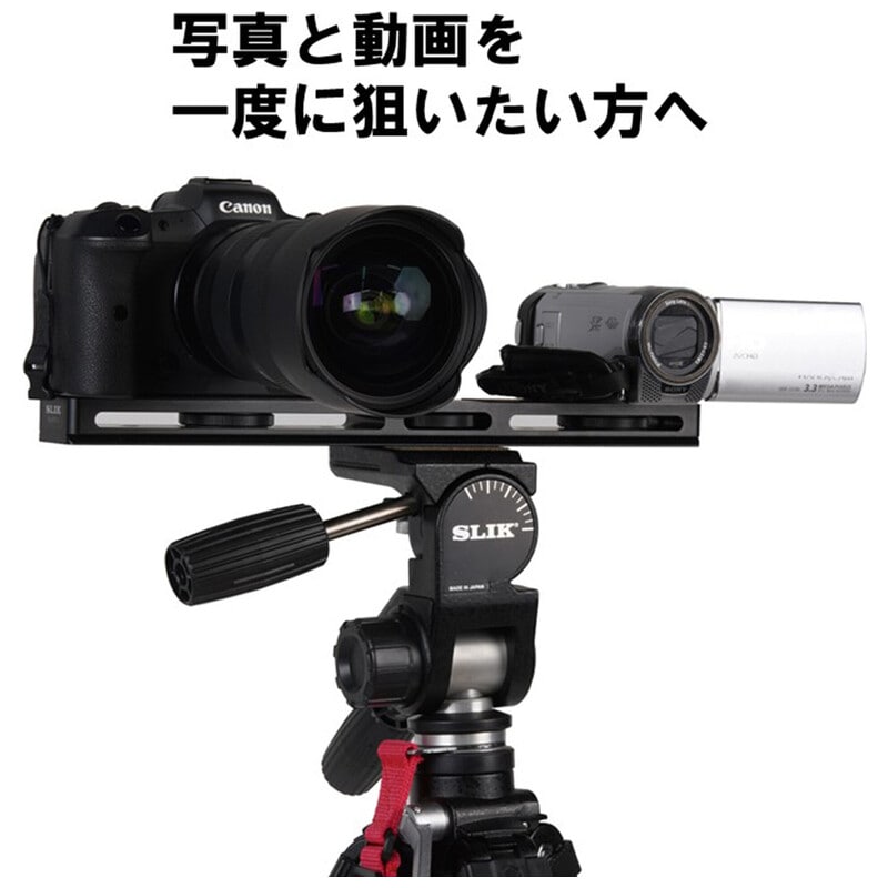 プレートIII