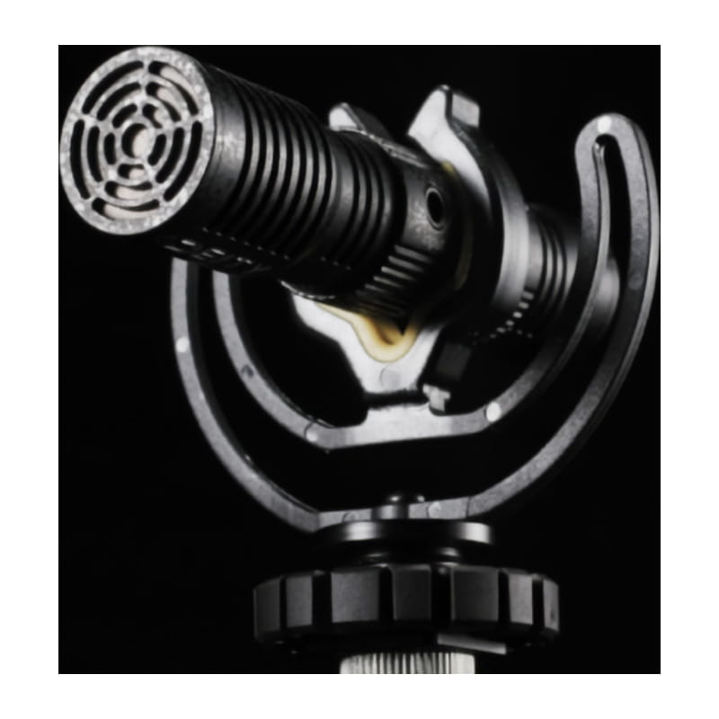 DTA0165D30 [V-Mic D4 DUO]