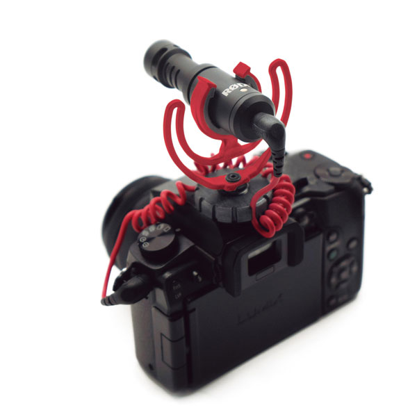 VideoMicro
