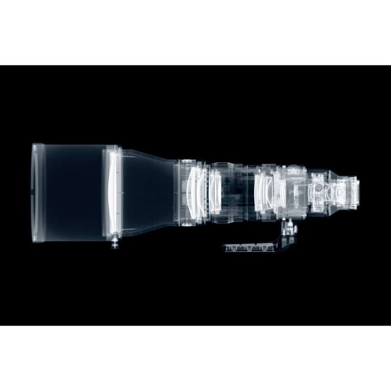 Sigma 300-600mm F4 DG OS | Sports Lマウント（2025年5月15日発売予定）