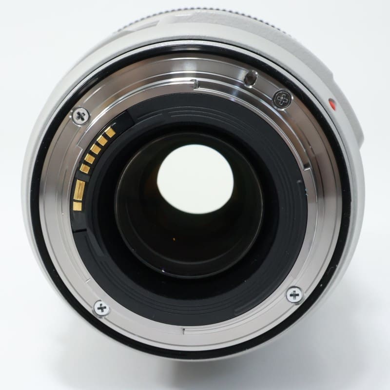 EF 70-300mm F4-5.6 L IS USM