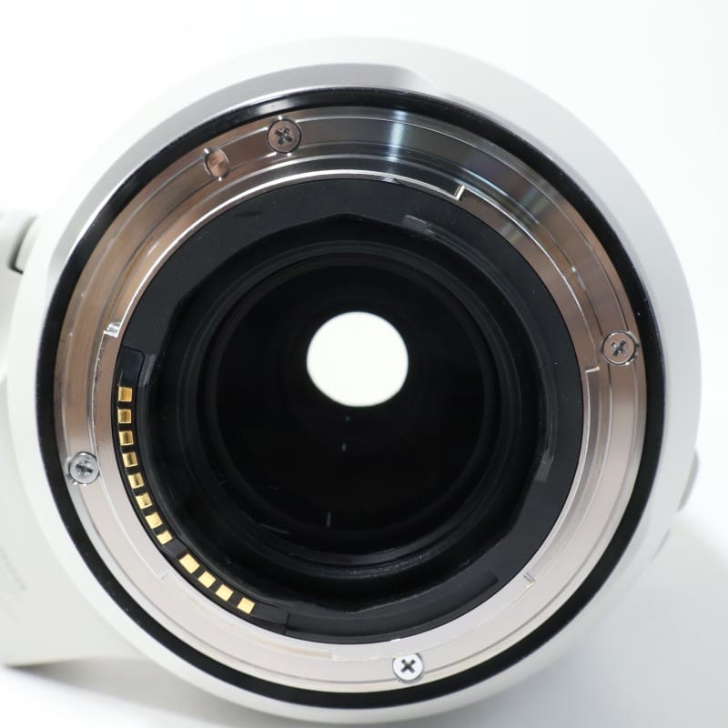 RF100-500mm F4.5-7.1 L IS USM