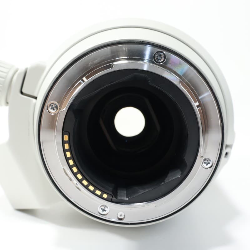 FE 70-200mm F4 Macro G OSS II SEL70200G2