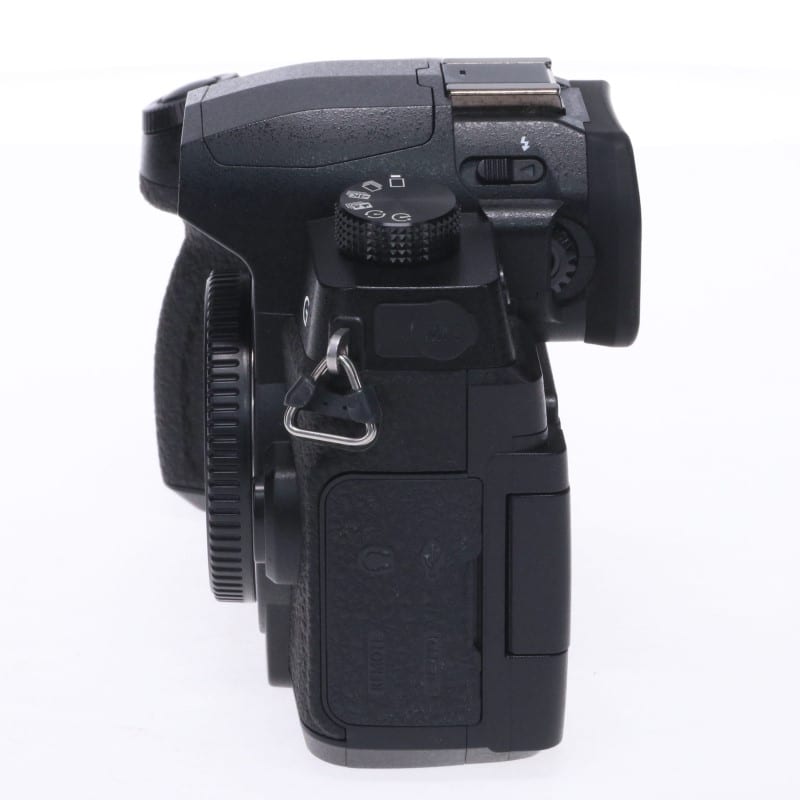 LUMIX G99 DC-G99