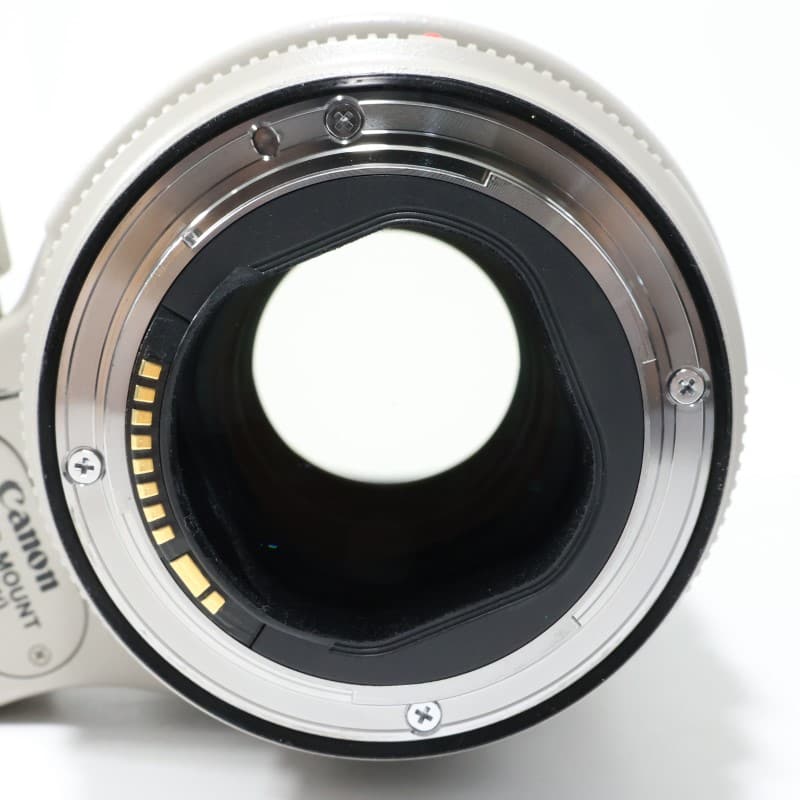 EF 70-200mm F2.8 L IS II USM
