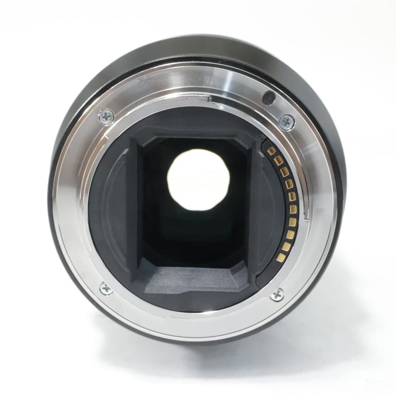 FE 90mm F2.8 Macro G OSS SEL90M28G
