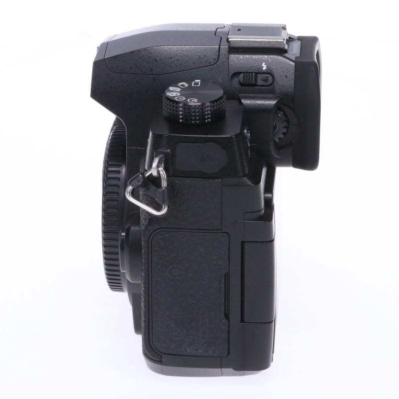 LUMIX G99 DC-G99